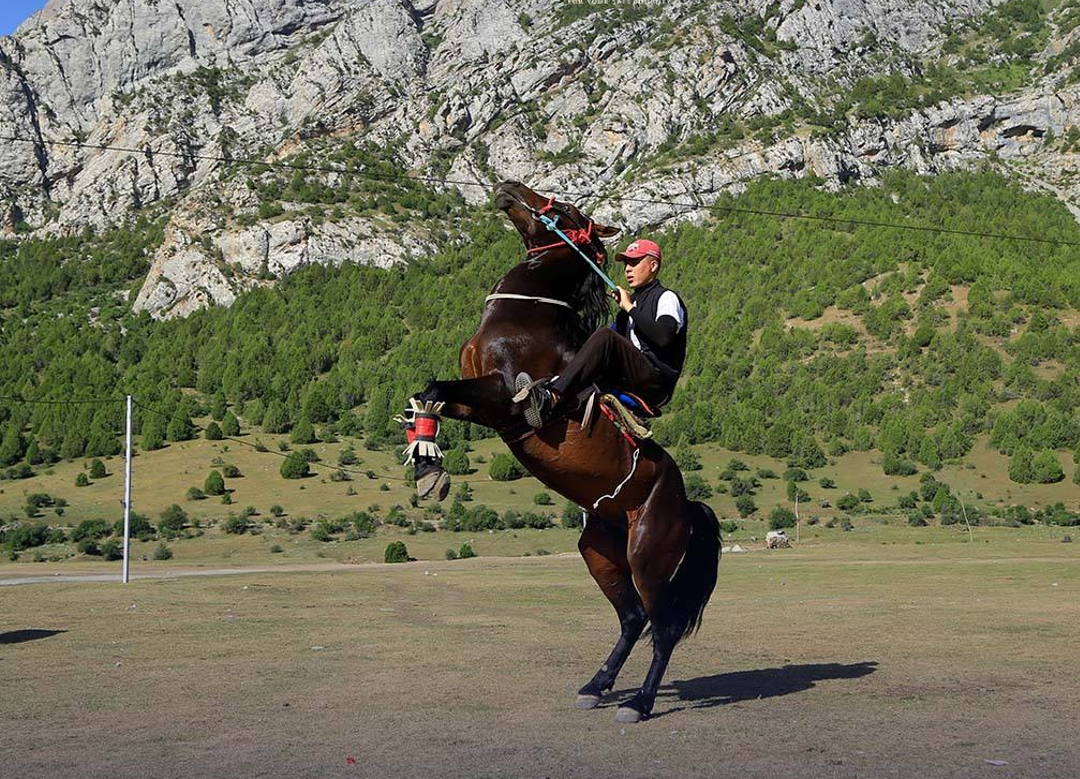 фото дилрабо Гавян от